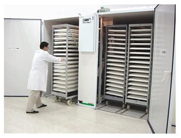 Dairy Incubator MAnufacturers